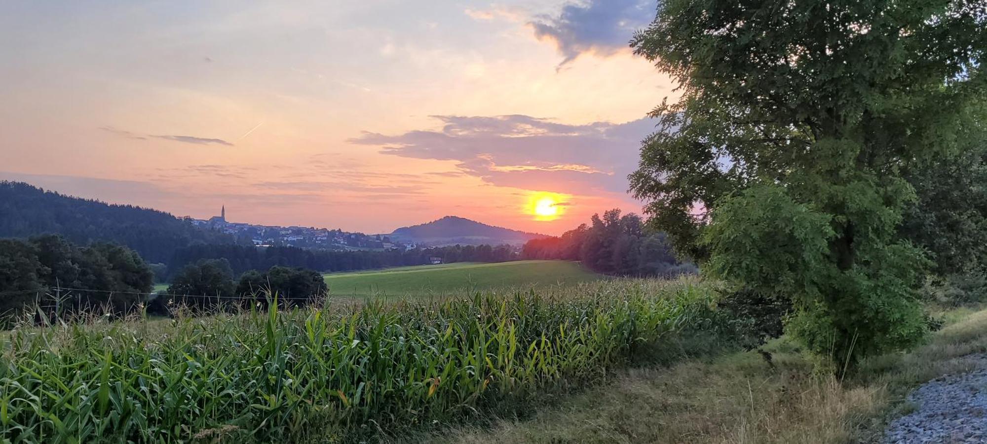 Ferienwohnung Bayerwaldblick Jandelsbrunn Luaran gambar