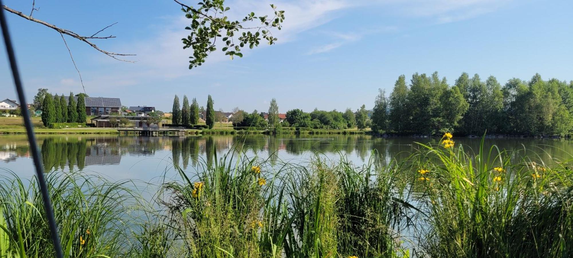 Ferienwohnung Bayerwaldblick Jandelsbrunn Luaran gambar