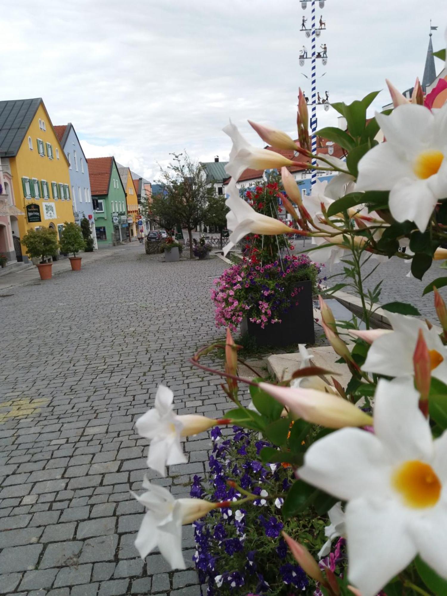 Ferienwohnung Bayerwaldblick Jandelsbrunn Luaran gambar