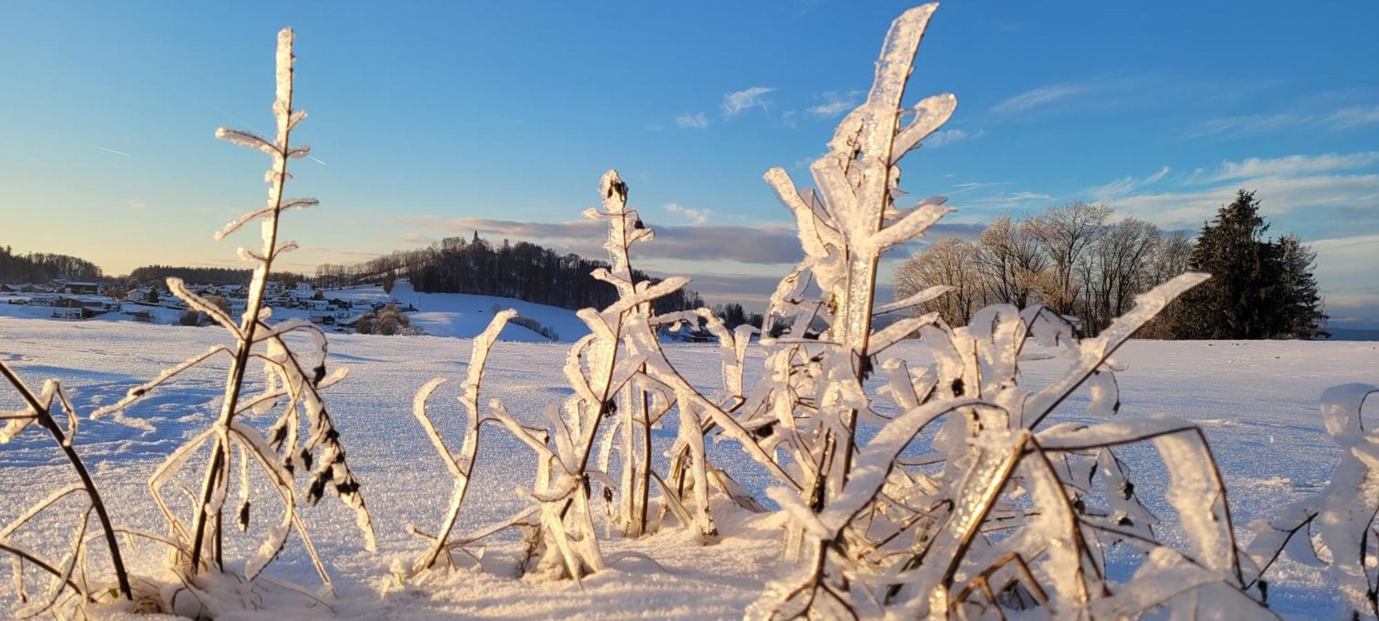 Ferienwohnung Bayerwaldblick Jandelsbrunn Luaran gambar