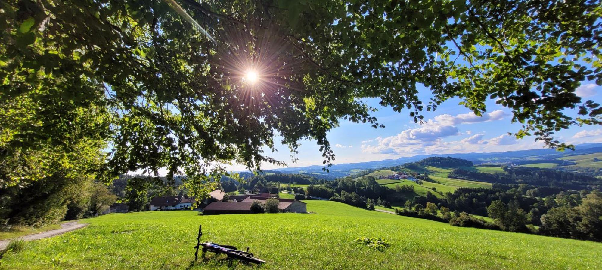 Ferienwohnung Bayerwaldblick Jandelsbrunn Luaran gambar