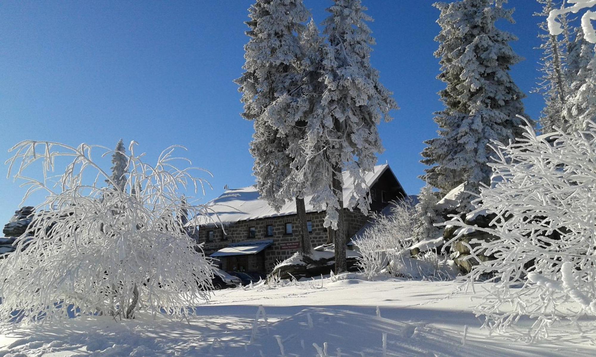 Ferienwohnung Bayerwaldblick Jandelsbrunn Luaran gambar