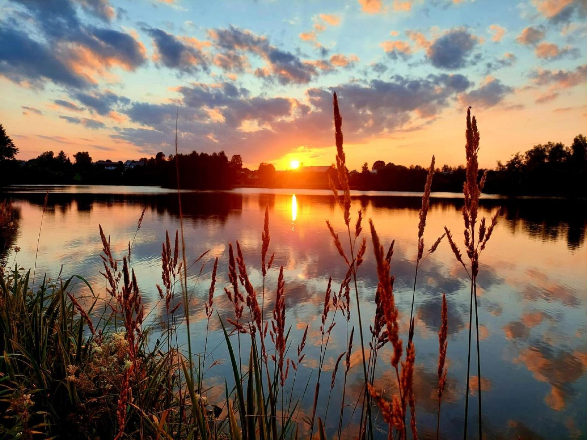 Ferienwohnung Bayerwaldblick Jandelsbrunn Luaran gambar
